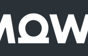 MOWI 
Leader du saumon d’élevage et producteur de protéines le plus durable